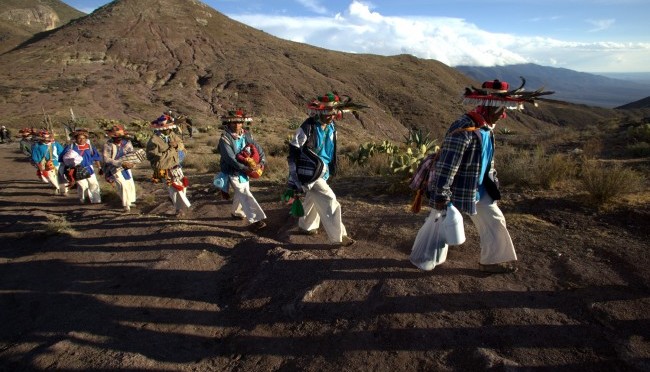 Greening the Sacred Desert: Permaculture workshop and hands on learning experience in Wirikuta, San Luis Potosi, Mexico